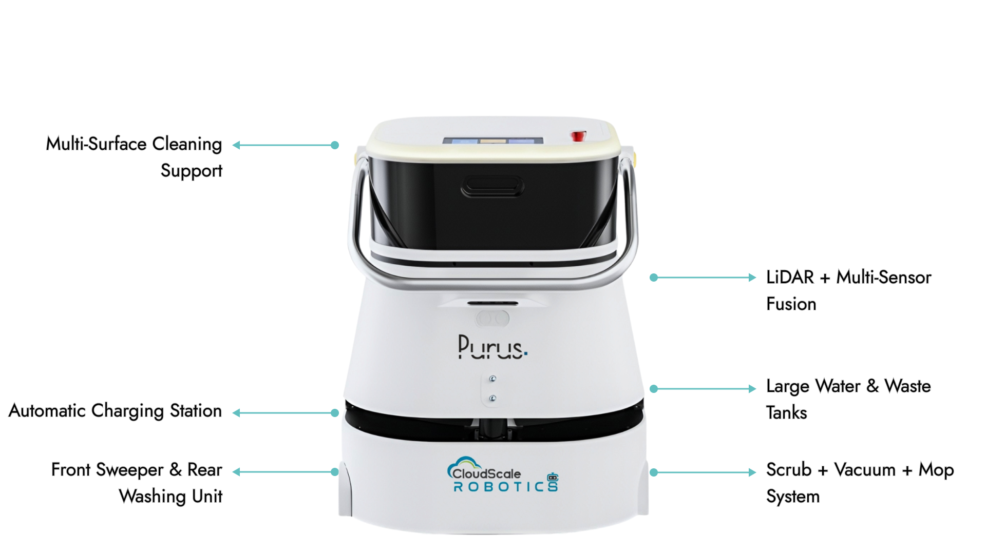 Purus Standard Anatomy